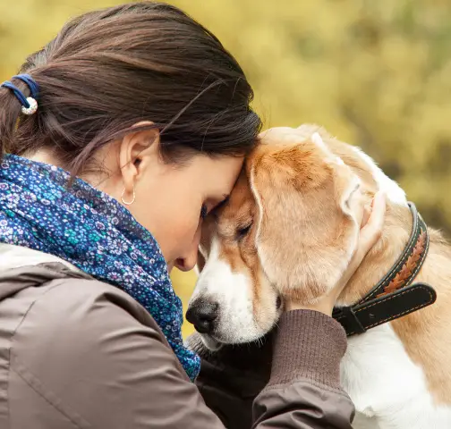 dog and owner being affectionate