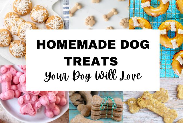 Homemade Dog Treats Your Dog Will Love